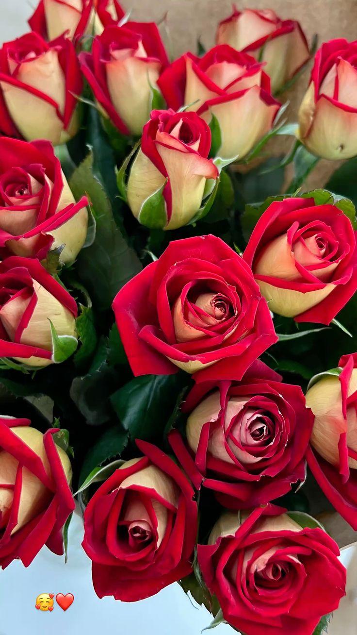 Morning Dew: Freshness Symphony Bouquet